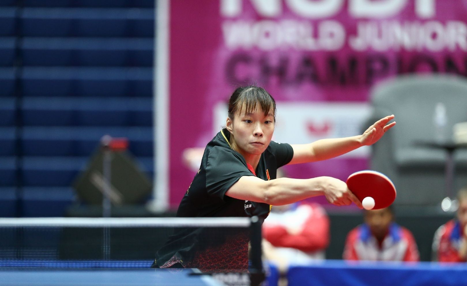 他的扣篮和 他的扣篮和