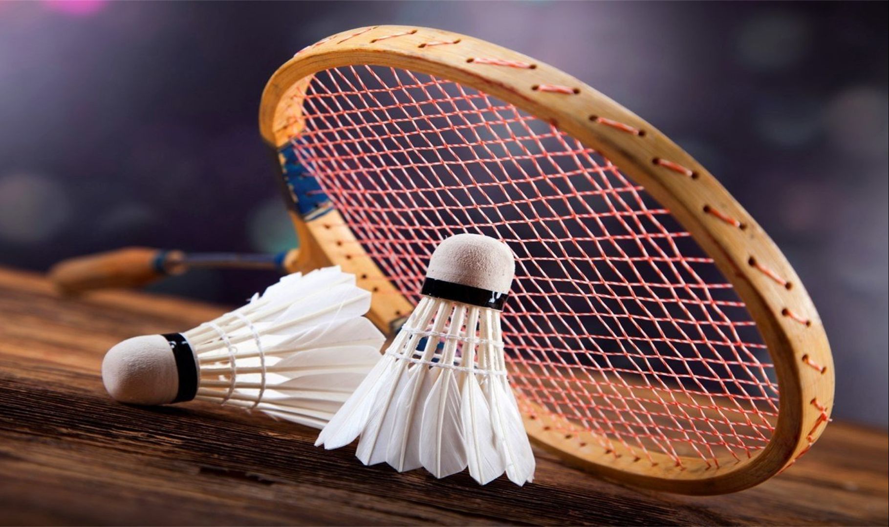 这些特质使 这些特质使