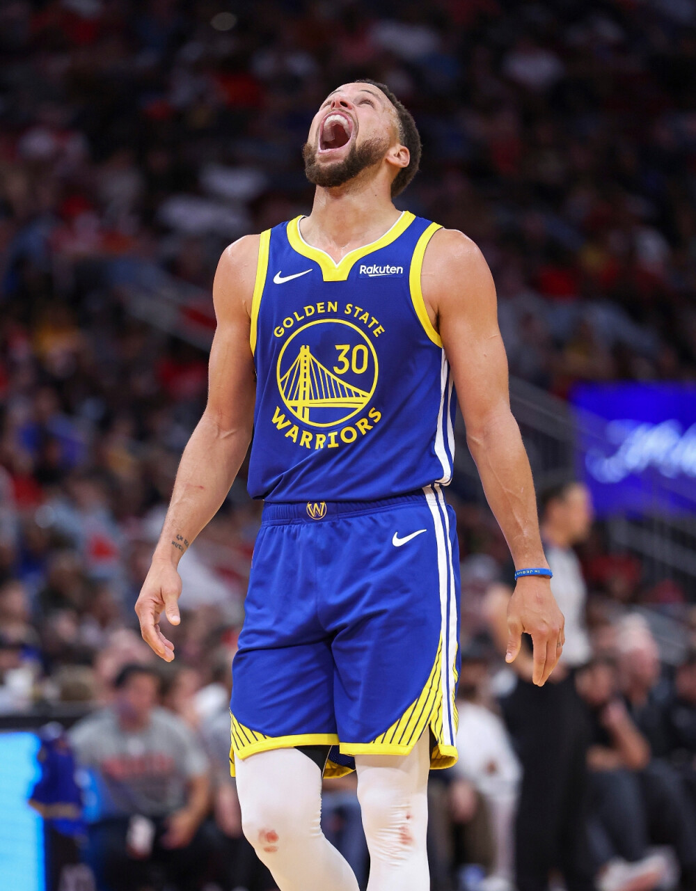 萌态与勇敢 萌态与勇敢