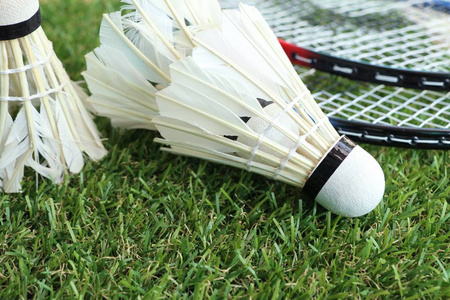 调整和适应 调整和适应